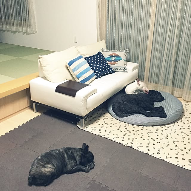 ren-hiroさんの実例写真