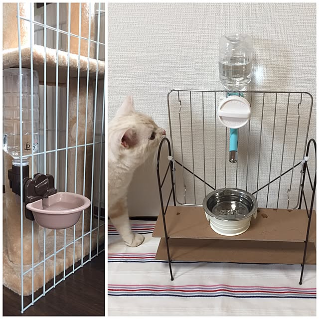 sirasu.nさんの実例写真