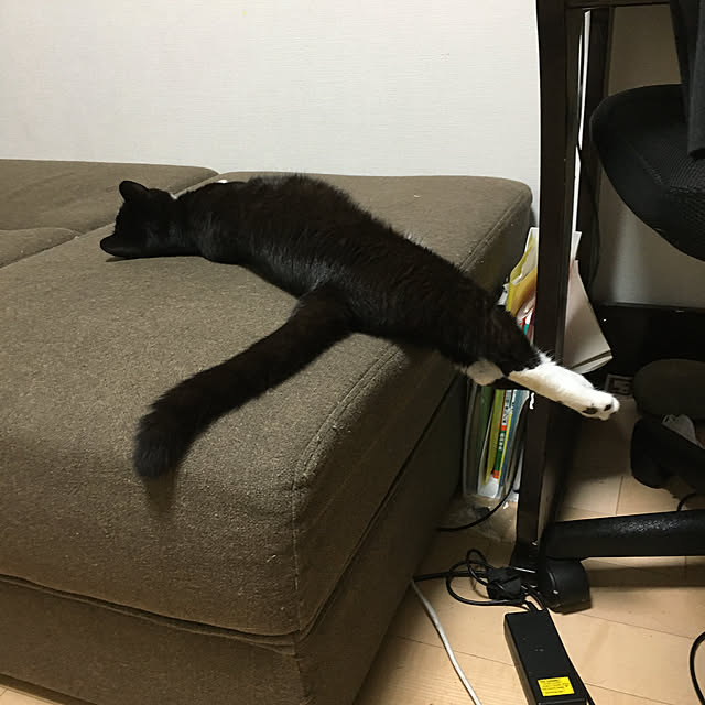 nekoさんの実例写真