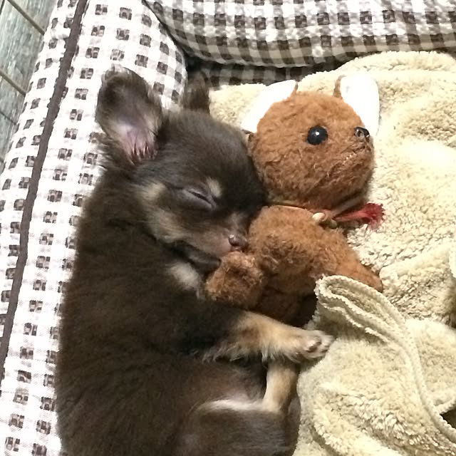 takaさんの実例写真