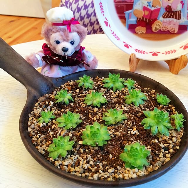 HappyRoseさんの実例写真