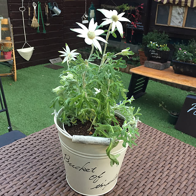 yokochinさんの実例写真