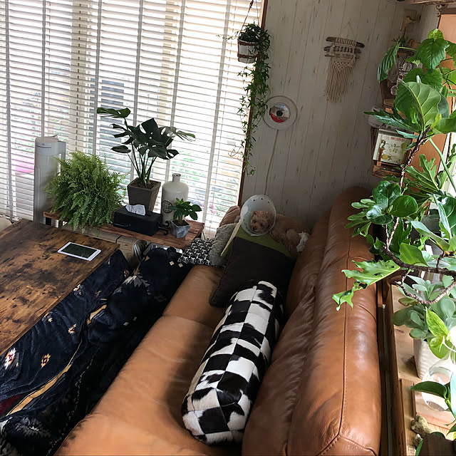 RURULOVEさんの実例写真
