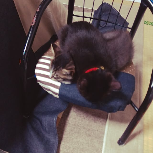 OKANさんの実例写真