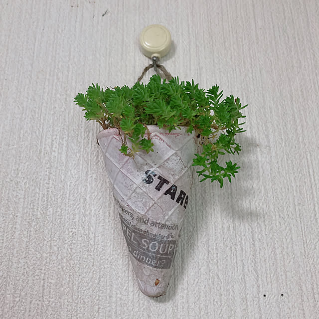 shoさんの実例写真