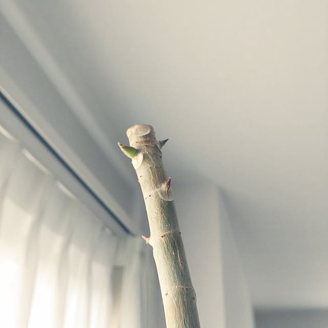 tan5さんの部屋
