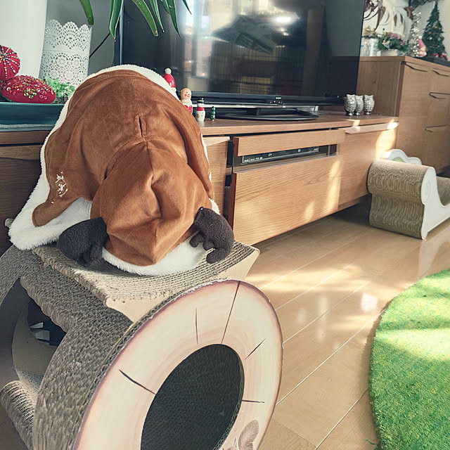 hiro3さんの実例写真