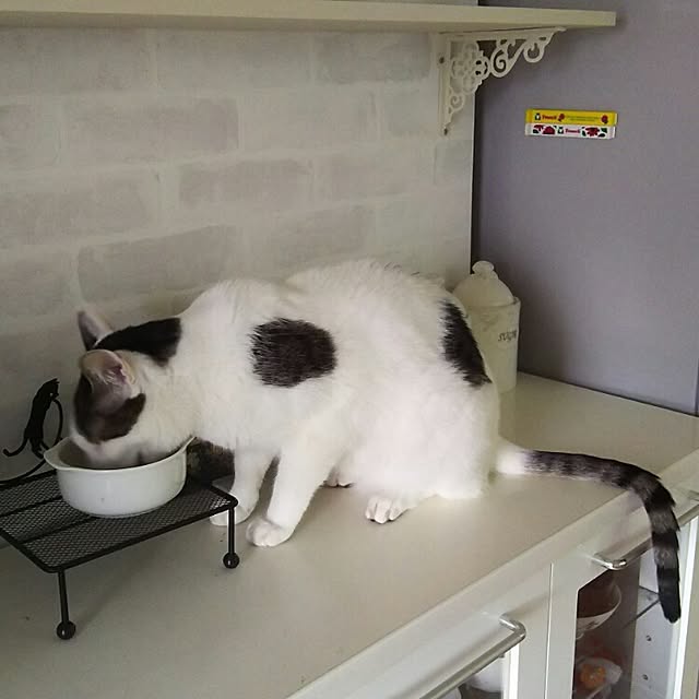 sakuraさんの実例写真