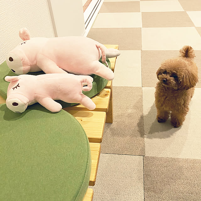 otsutaudonkoさんの実例写真