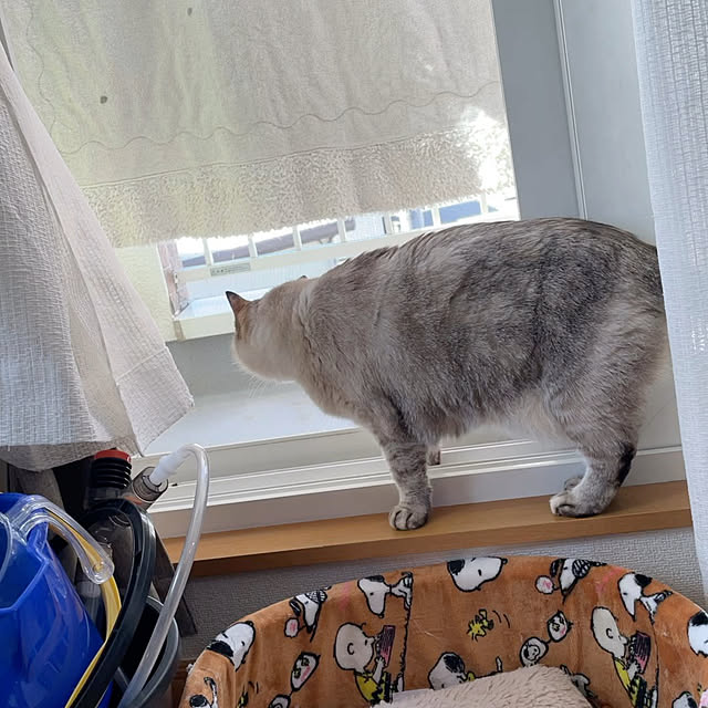Ny77Coronさんの部屋