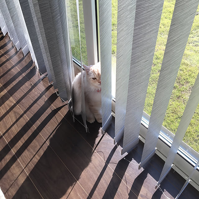 takiさんの実例写真