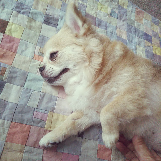 kiraさんの実例写真