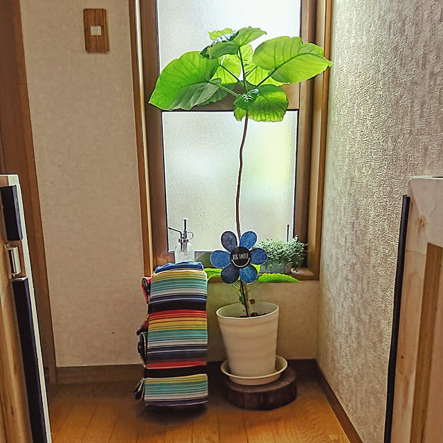 megumisaさんの実例写真