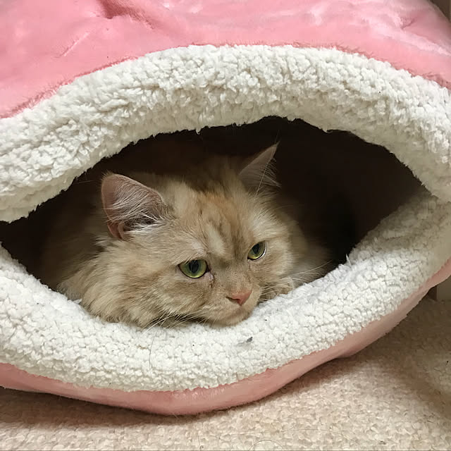 roseさんの実例写真