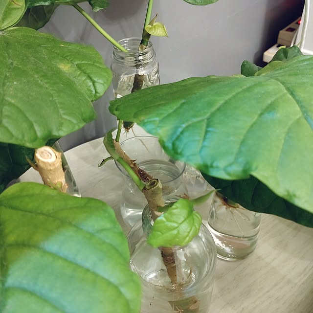 Bienvenueさんの部屋
