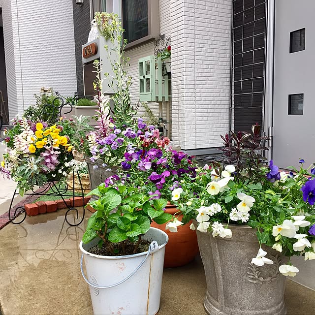 suzyさんの実例写真