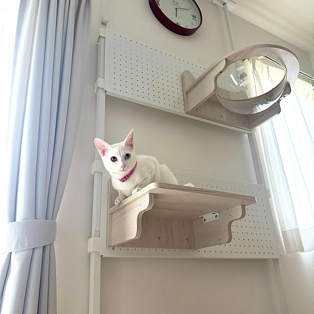 yukichiさんの実例写真