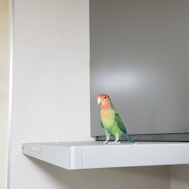 tukichanさんの実例写真