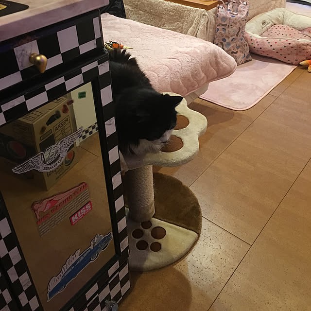 kanaさんの実例写真