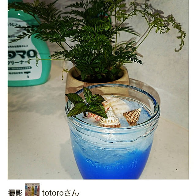 totoroさんの実例写真
