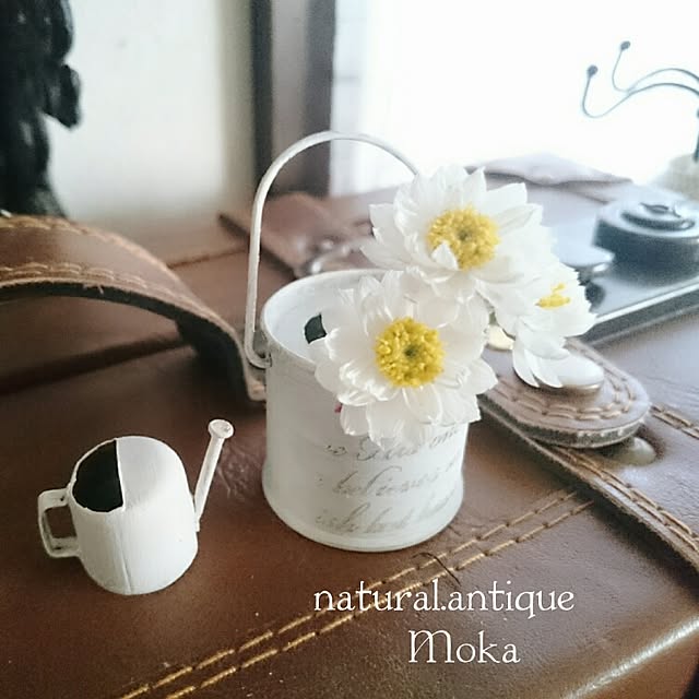 Mokaさんの実例写真