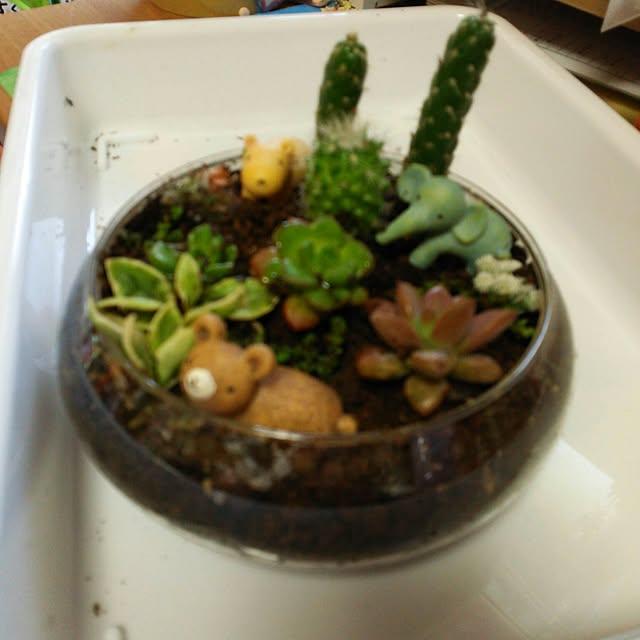mkshiningmymさんの実例写真