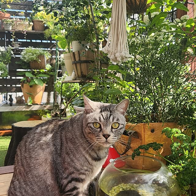 mikamaiさんの実例写真