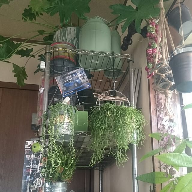 minamiさんの実例写真