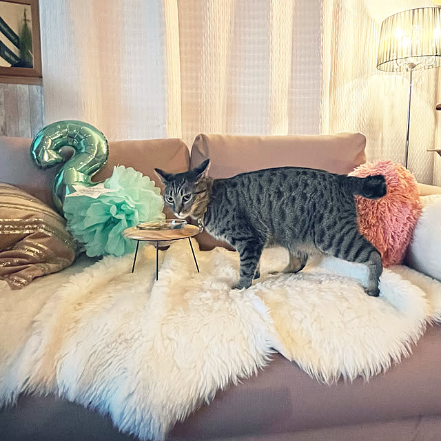Mさんの実例写真