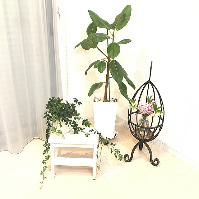 rootさんの実例写真