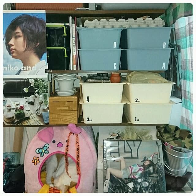 porinさんの実例写真