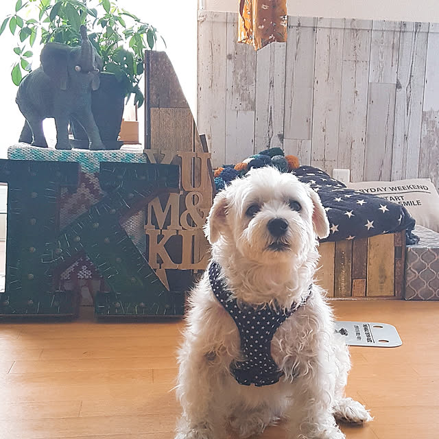 manさんの実例写真