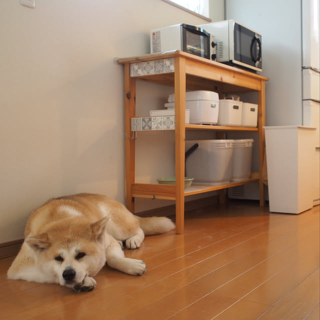 akitainu7さんの実例写真