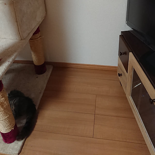 noguriさんの実例写真