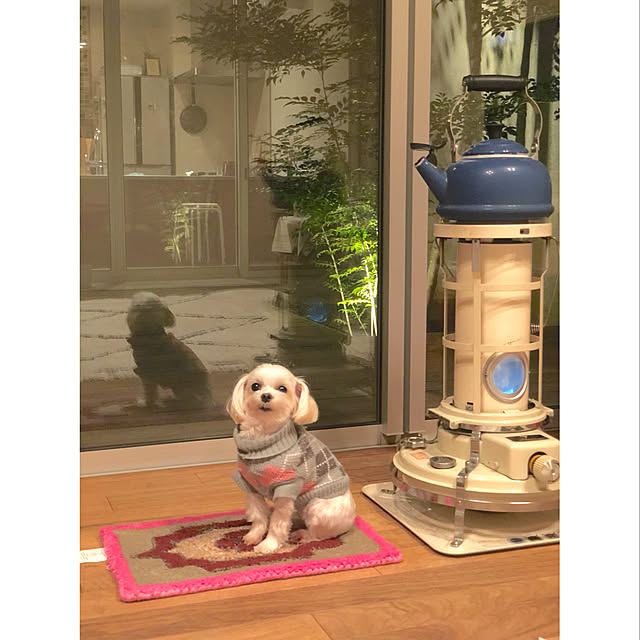 Komiyaさんの実例写真
