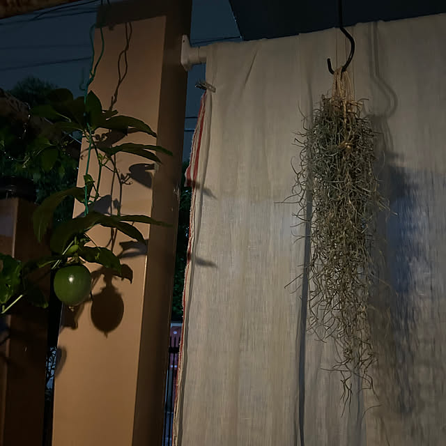 botanさんの部屋