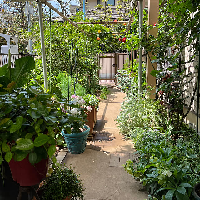 botanさんの実例写真