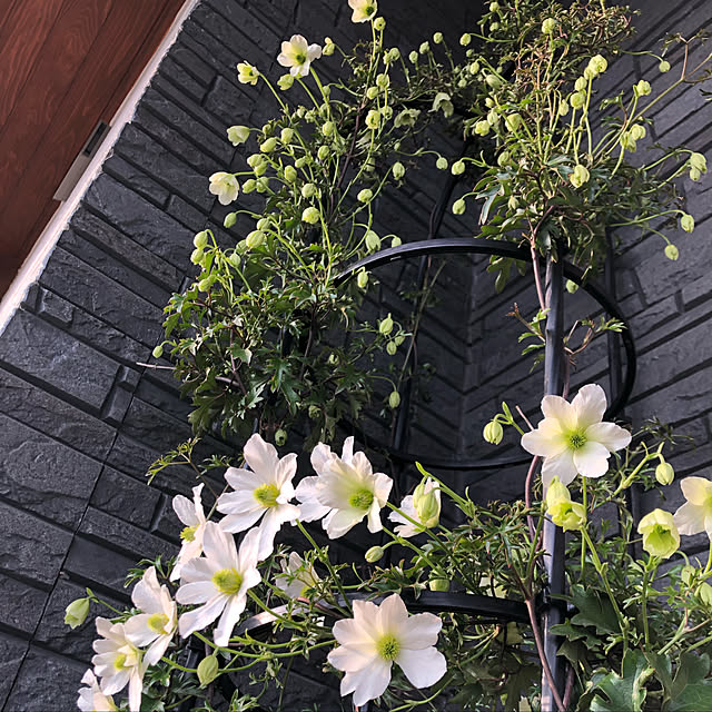 nanachanmamaさんの実例写真