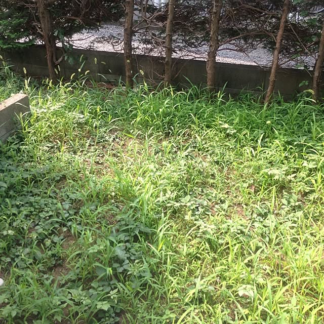 edenさんの実例写真