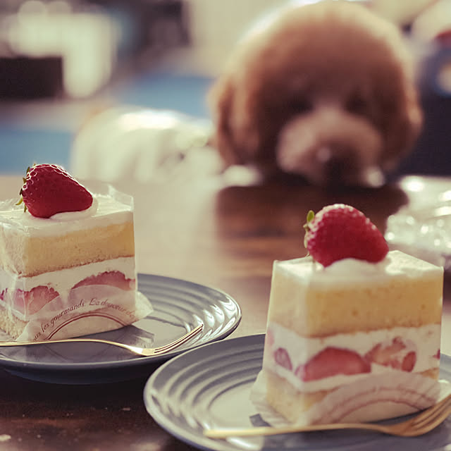 nanさんの実例写真