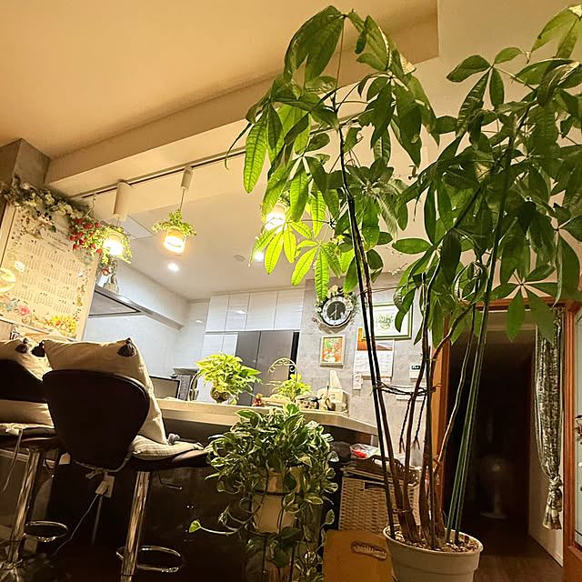 Aqettyさんの部屋