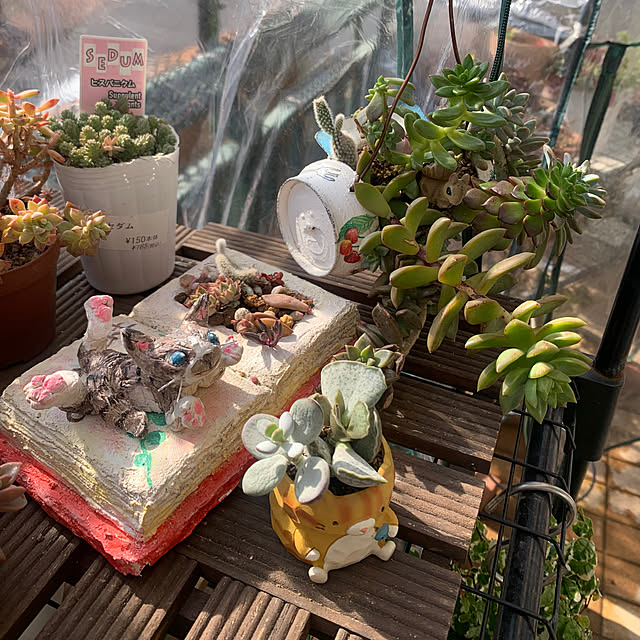 Aqettyさんの部屋