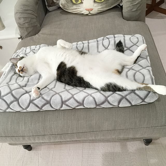 yuchiさんの実例写真