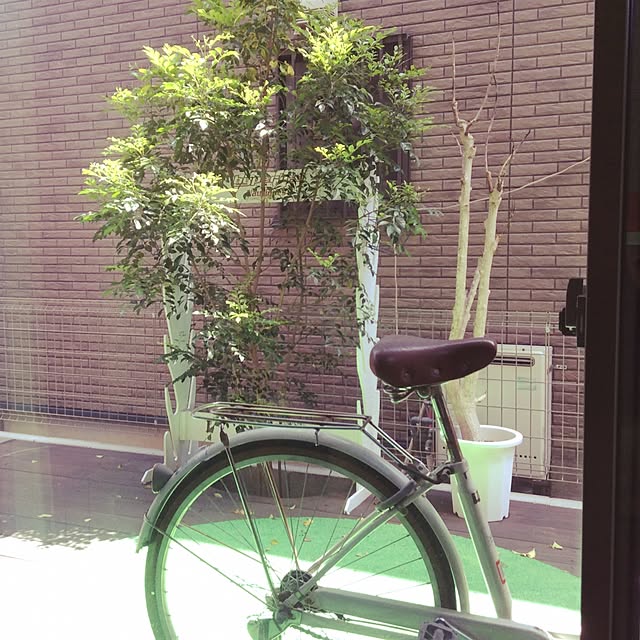 hechinaさんの実例写真