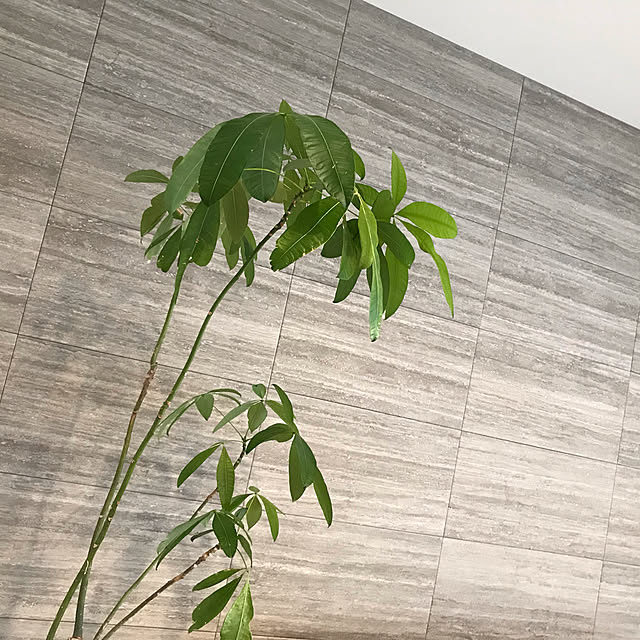 umingt330さんの実例写真