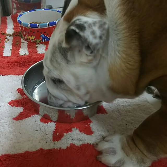 AandPさんの実例写真