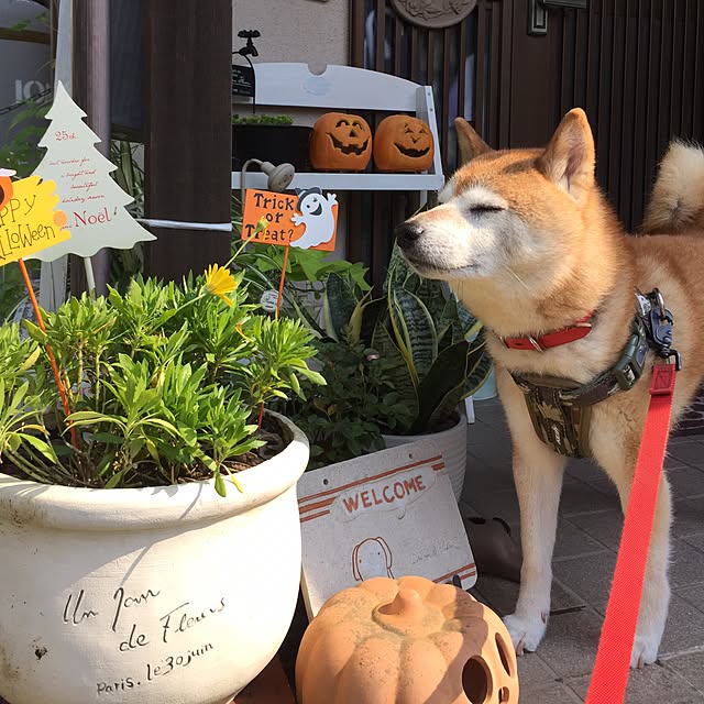htm.さんの実例写真