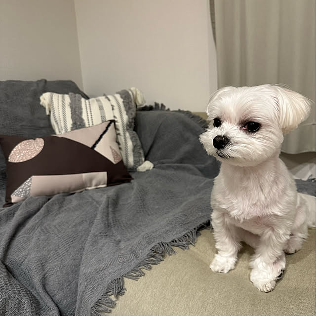 manaさんの実例写真