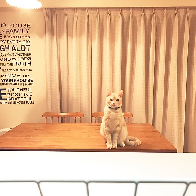 hiyupan88さんの実例写真