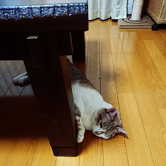 nachiさんの実例写真